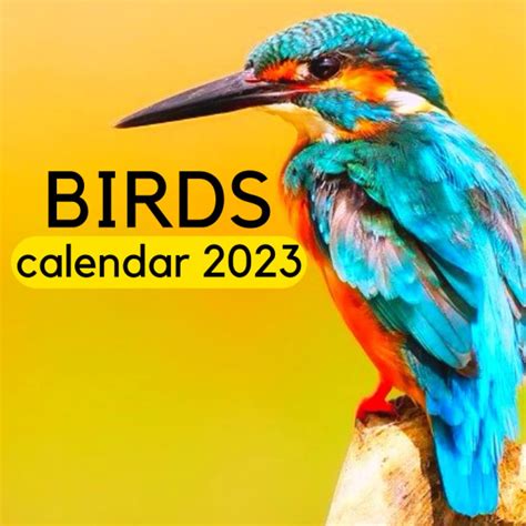 Bird 2025